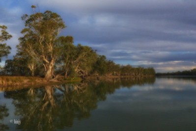 The Murray and its River Red Gums